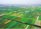 自然資源部開展2021年度全國國土變更調(diào)查，2022年起建立日常變更機(jī)制