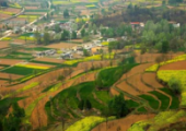 甘肅“多規(guī)合一”國(guó)土空間規(guī)劃體系已基本建立