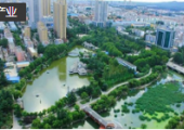 6294萬，青島城市大數(shù)據(jù)中標(biāo)平度新型智慧城市二期