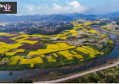 四川將切實加強國土空間規(guī)劃實施監(jiān)督 確保“一張藍(lán)圖干到底”