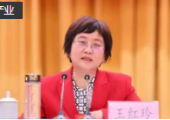 兩會 | 全國政協(xié)委員、湖北省政協(xié)副主席王紅玲：支持湖北打造世界級北斗產業(yè)集群