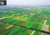 自然資源部印發(fā)2023年度自然資源標(biāo)準(zhǔn)制修訂工作計劃